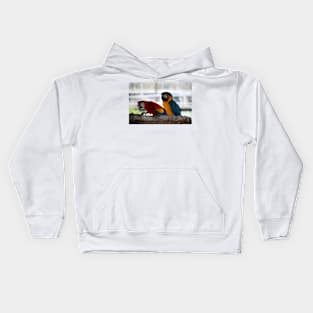 Two Colorful Parrots Kids Hoodie